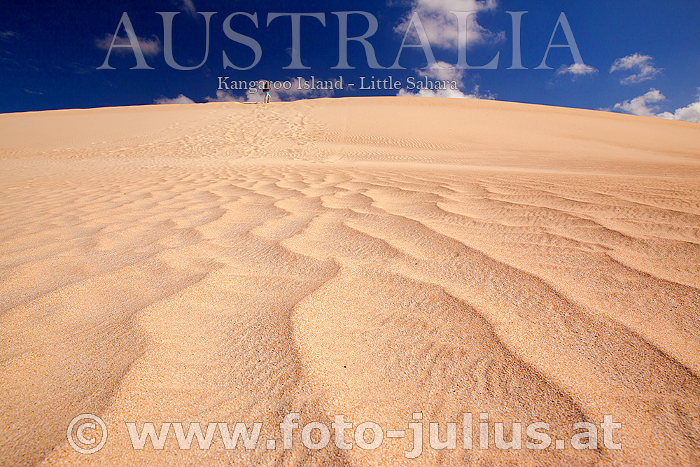 Australia_154+Kangaroo_Island_Little_Sahara.jpg, 472kB
