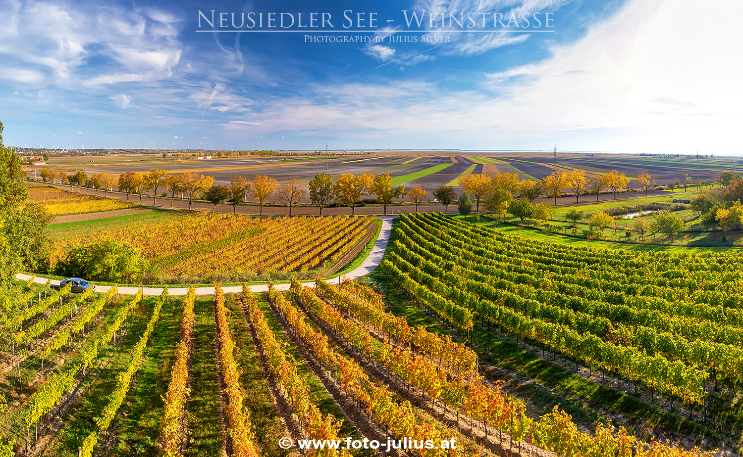 121a Jois Neusiedler See Weinstrasse