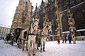 Austria, Vienna, Pferdekutsche beim Stephansdom, Photo Nr.: W159 