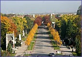 Austria, Vienna, Zentralfriedhof, Photo Nr.: W1465