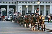 Vienna, Pferdekutsche (Horse-drawn Carriage) at Square Heldenplatz, the Hofburg, Photo Nr.: W2332