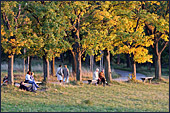 Vienna, Steinhofgrnde, Steinhof, Erholungspark, Photo Nr.: W3831