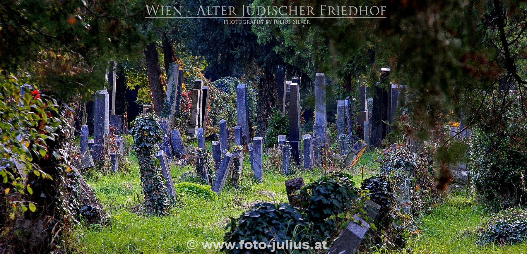 W5208a_Wien_Alter_juedischer_Friedhof.jpg, 1,1MB