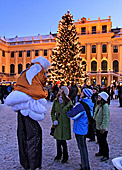Vienna, Schnbrunn, Weihnachtsmarkt, Christkindlmarkt, Adventmarkt, Photo Nr.: W5336
