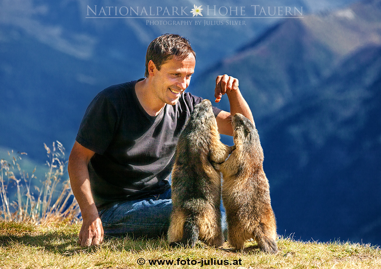 2110a_Murmeltiere_Hohe_Tauern.jpg, 632kB