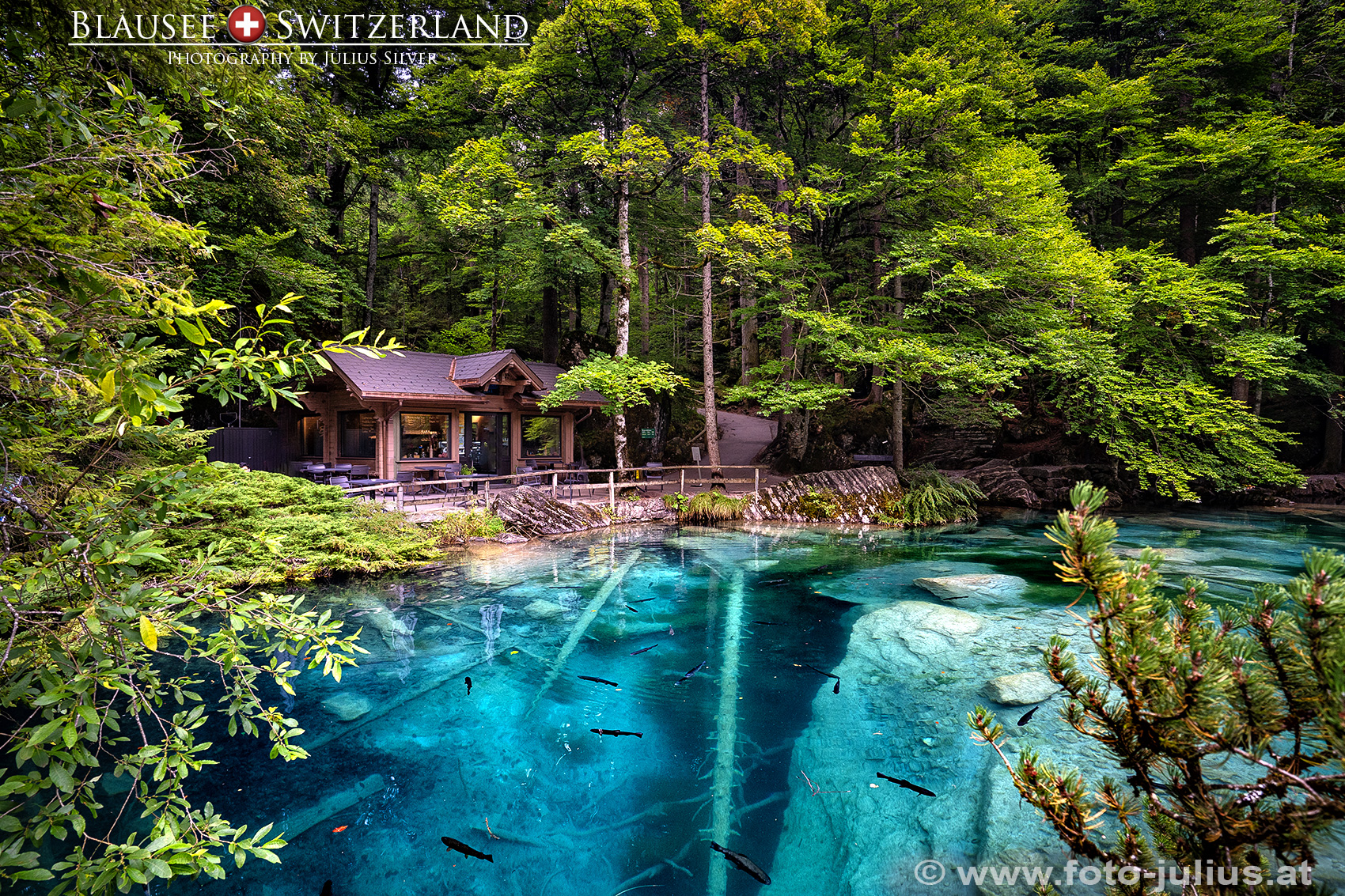 2980a_Blausee_Naturpark.jpg, 1,5MB