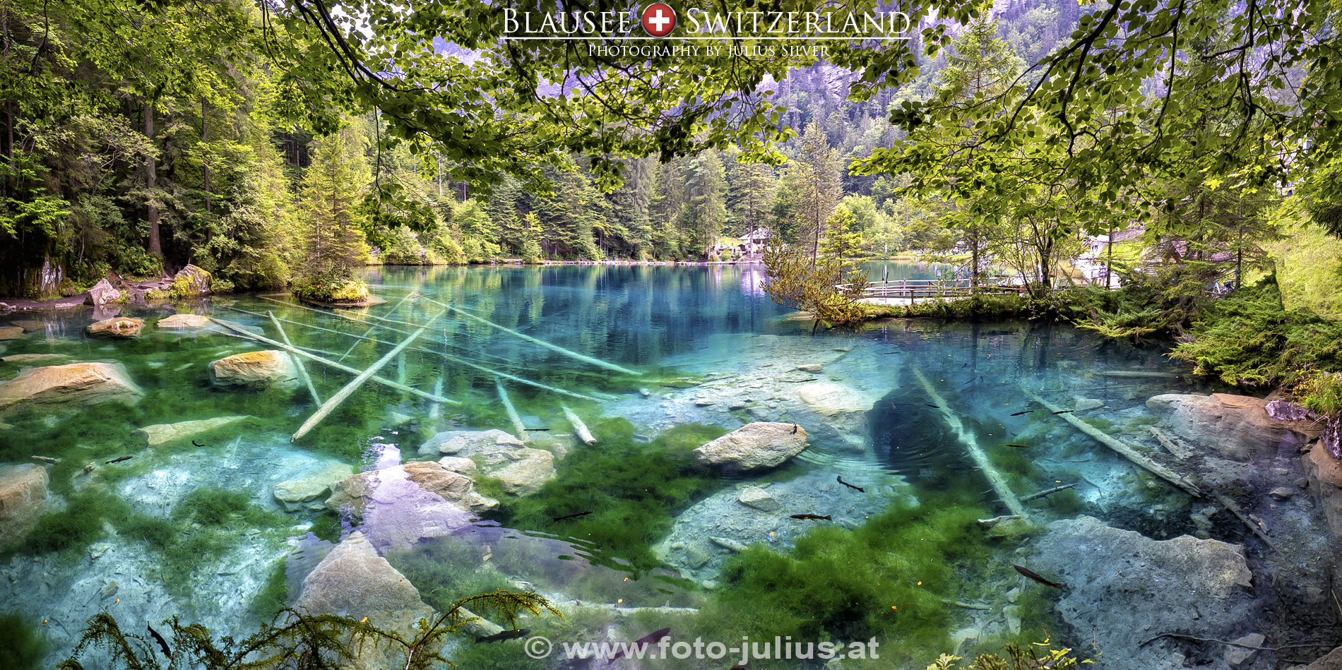 2983a_Blausee_Naturpark.jpg, 1,3MB