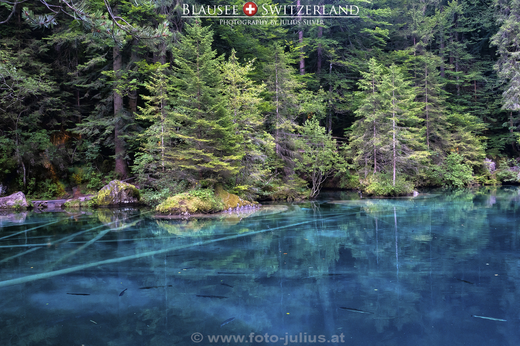2985a_Blausee_Naturpark.jpg, 1,2MB