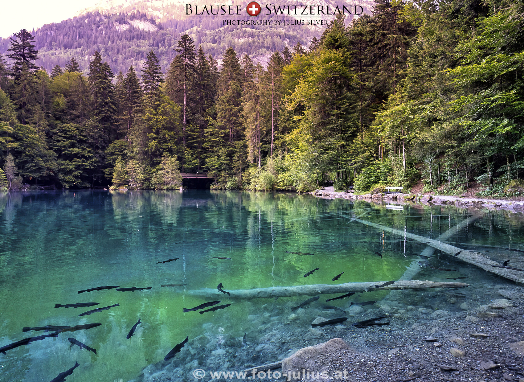 2986a_Blausee_Naturpark.jpg, 1,4MB
