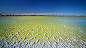 Australia_190.jpg, 9,4kB