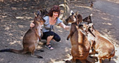 Australia_284_Parndana_Wildlife_Park.jpg, 11kB