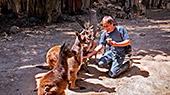 Australia_323_Parndana_Wildlife_Park.jpg, 12kB