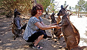 Australia_328_Parndana_Wildlife_Park.jpg, 12kB