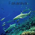 fakarava.jpg, 49kB