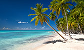 001_Saona_Island.jpg, 10kB