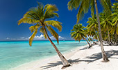 002_Saona_Island.jpg, 11kB