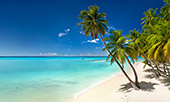 008_Saona_Island.jpg, 8,8kB