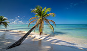 012_Saona_Island.jpg, 8,7kB