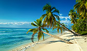 013_Saona_Island.jpg, 11kB