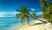 014_Saona_Island.jpg, 11kB