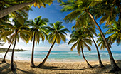 032_Saona_Island.jpg, 14kB