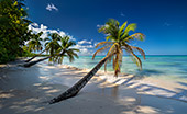 044_Saona_Island.jpg, 10kB