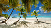 052_Saona_Island.jpg, 12kB