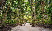 054_Saona_Island.jpg, 14kB