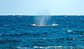 097_Playa_Fronton.jpg, 9,2kB