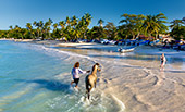 145_Playa_Las_Galeras.jpg, 11kB