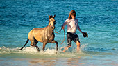 146_Playa_Las_Galeras.jpg, 10kB