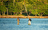 156_Playa_Las_Galeras.jpg, 15kB