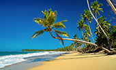 181_Playa_de_los_Reyes.jpg, 11kB