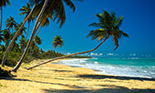 182_Playa_de_los_Reyes.jpg, 12kB