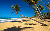 183_Playa_de_los_Reyes.jpg, 12kB