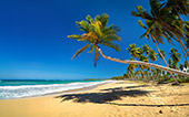 184_Playa_de_los_Reyes.jpg, 11kB