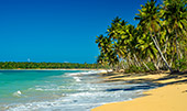 185_Playa_de_los_Reyes.jpg, 10kB