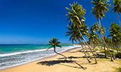 188_Playa_de_los_Reyes.jpg, 11kB