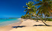 189_Playa_de_los_Reyes.jpg, 10kB