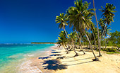 190_Playa_de_los_Reyes.jpg, 11kB