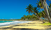 191_Playa_de_los_Reyes.jpg, 11kB