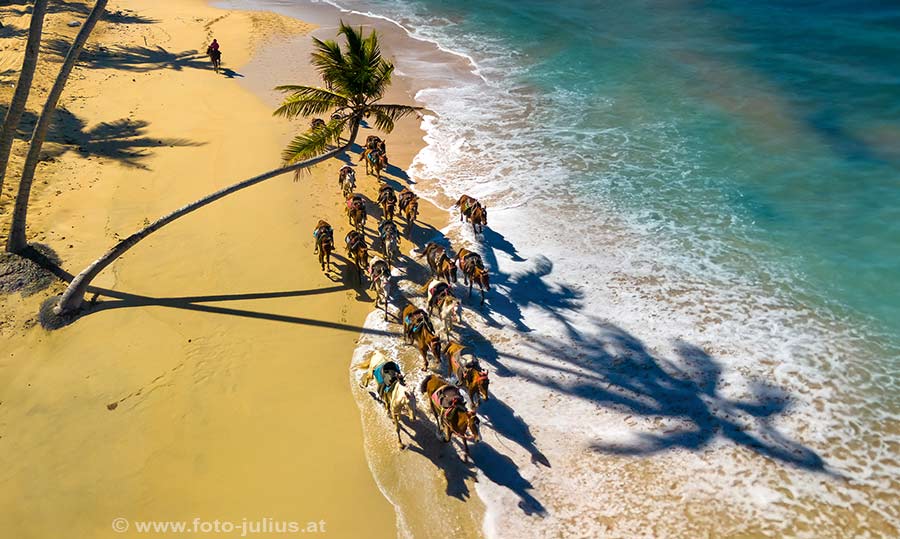 192_Playa_de_los_Reyes.jpg