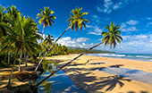216_Playa_Coson_Las_Terrenas.jpg, 14kB