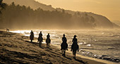 232_Playa_Coson_Las_Terrenas.jpg, 8,1kB