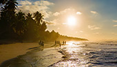 236_Playa_Coson_Las_Terrenas.jpg, 8,0kB