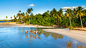 237_Playa_Coson_Las_Terrenas.jpg, 11kB