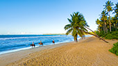 238_Playa_Coson_Las_Terrenas.jpg, 8,8kB