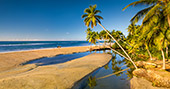 239_Playa_Coson_Las_Terrenas.jpg, 10kB
