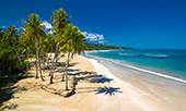 242_Playa_Coson_Las_Terrenas.jpg, 9,6kB