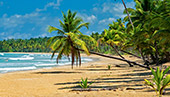247_Playa_Coson_Las_Terrenas.jpg, 12kB